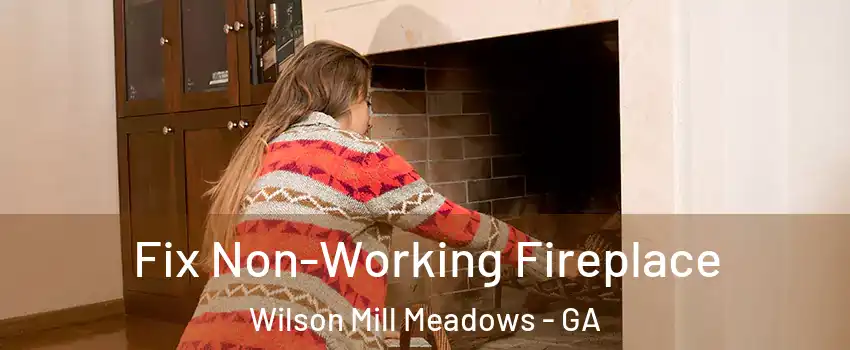 Fix Non-Working Fireplace Wilson Mill Meadows - GA