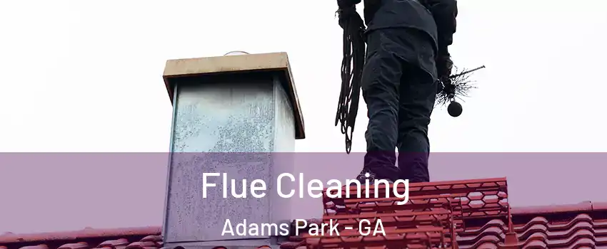 Flue Cleaning Adams Park - GA