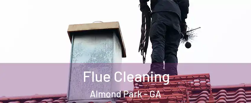 Flue Cleaning Almond Park - GA