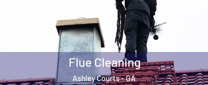 Flue Cleaning Ashley Courts - GA