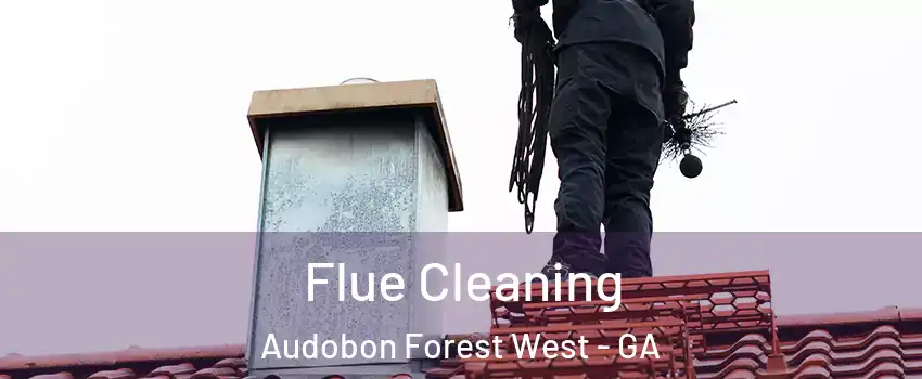 Flue Cleaning Audobon Forest West - GA
