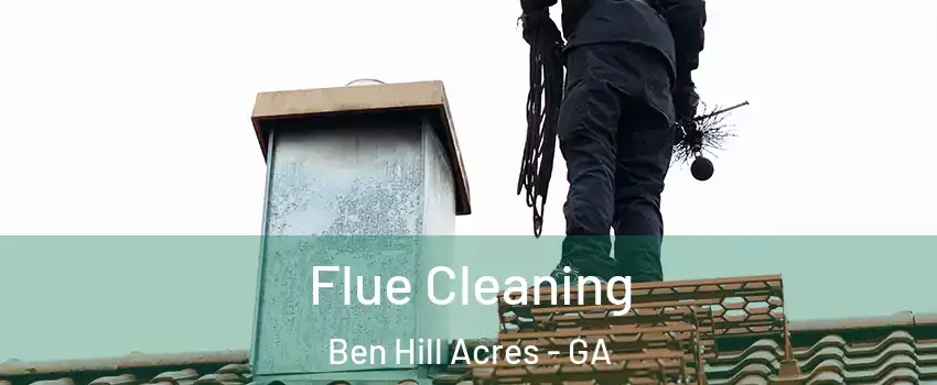 Flue Cleaning Ben Hill Acres - GA