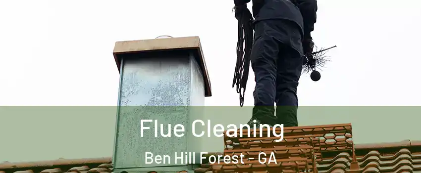 Flue Cleaning Ben Hill Forest - GA