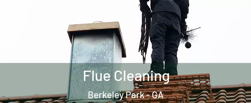 Flue Cleaning Berkeley Park - GA