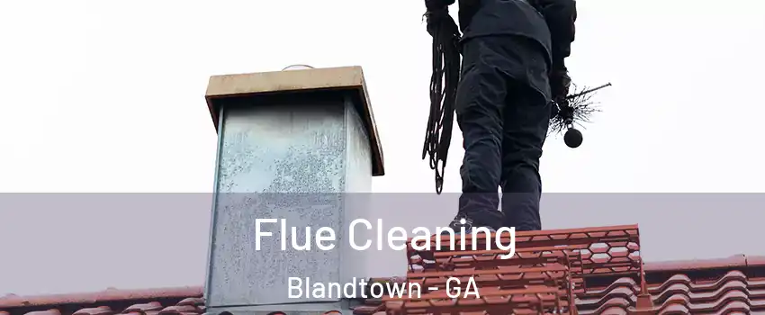 Flue Cleaning Blandtown - GA
