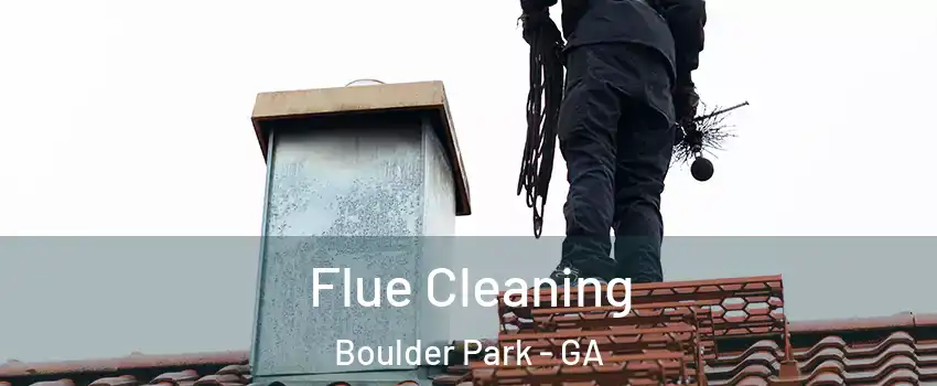 Flue Cleaning Boulder Park - GA