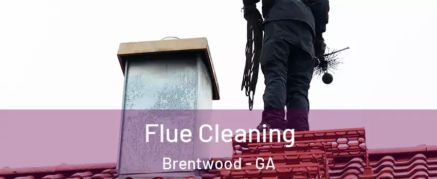 Flue Cleaning Brentwood - GA
