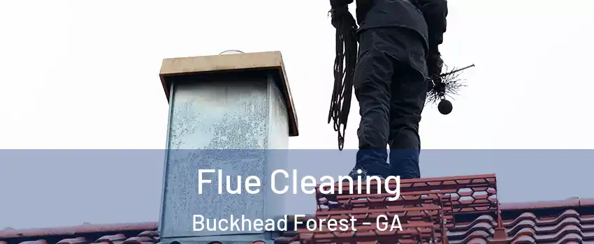 Flue Cleaning Buckhead Forest - GA