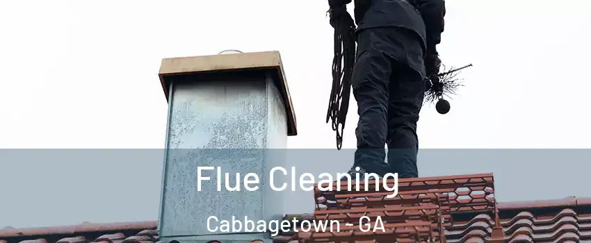 Flue Cleaning Cabbagetown - GA