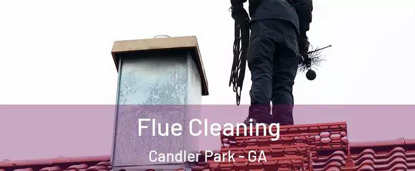 Flue Cleaning Candler Park - GA
