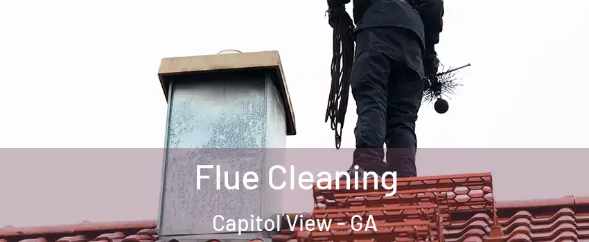 Flue Cleaning Capitol View - GA