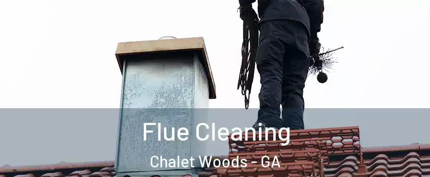 Flue Cleaning Chalet Woods - GA