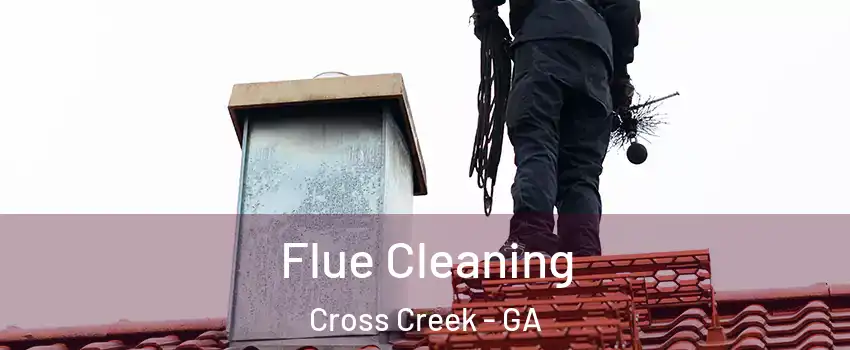 Flue Cleaning Cross Creek - GA