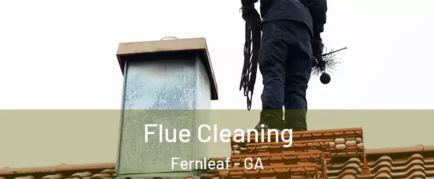 Flue Cleaning Fernleaf - GA