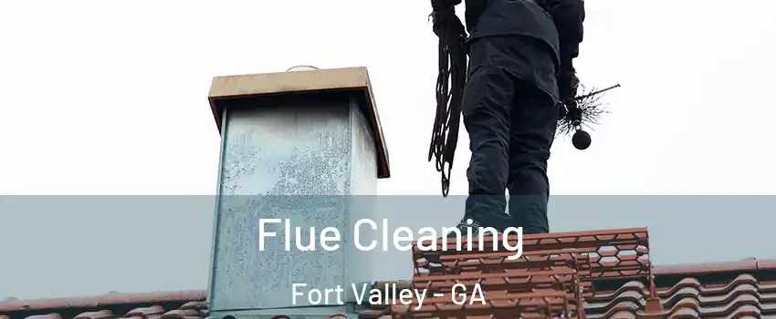 Flue Cleaning Fort Valley - GA