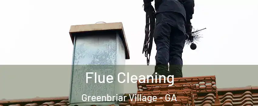 Flue Cleaning Greenbriar Village - GA