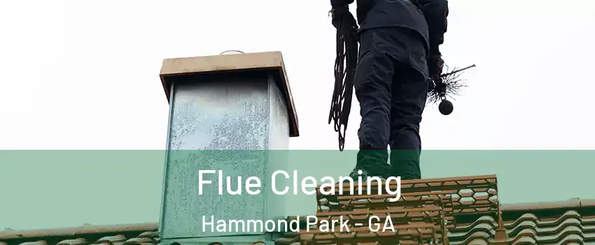 Flue Cleaning Hammond Park - GA