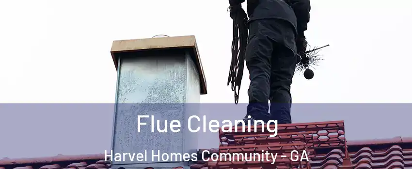Flue Cleaning Harvel Homes Community - GA
