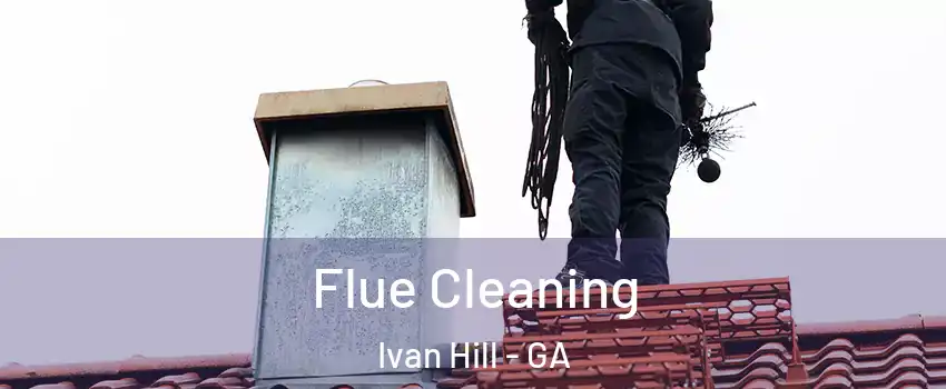 Flue Cleaning Ivan Hill - GA