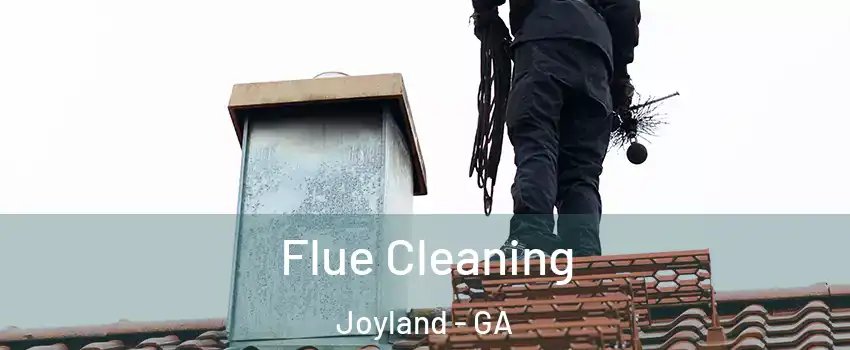 Flue Cleaning Joyland - GA