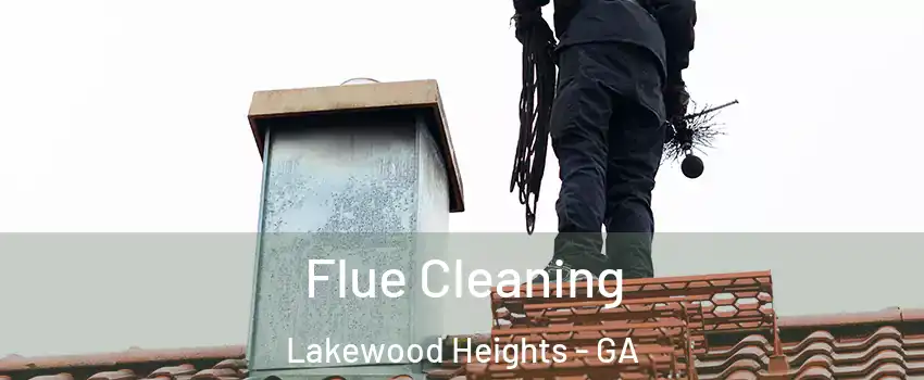 Flue Cleaning Lakewood Heights - GA
