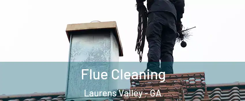 Flue Cleaning Laurens Valley - GA