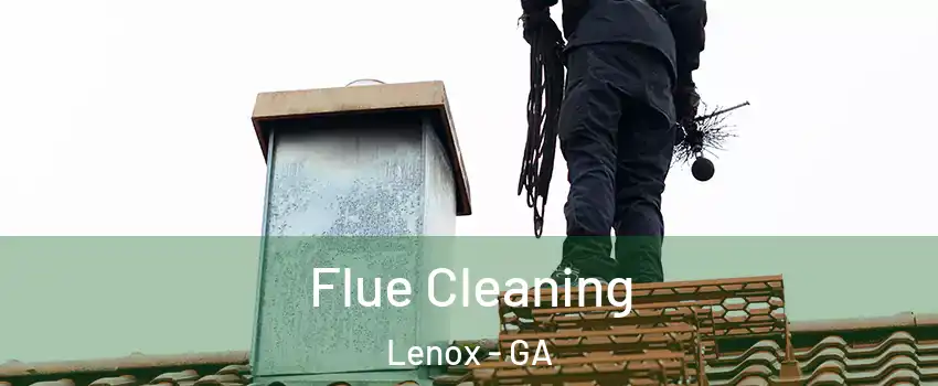 Flue Cleaning Lenox - GA