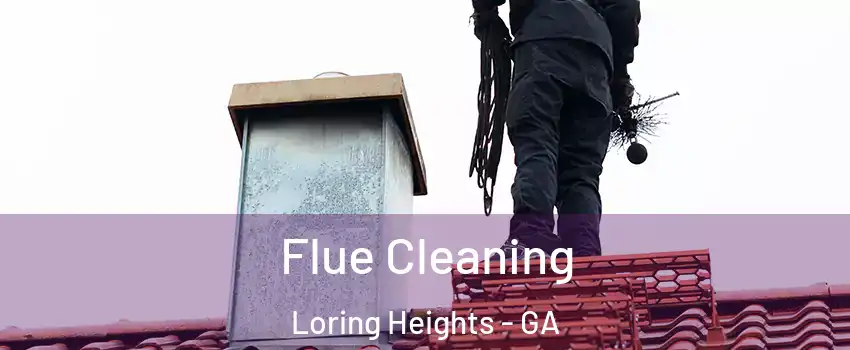 Flue Cleaning Loring Heights - GA