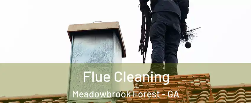 Flue Cleaning Meadowbrook Forest - GA