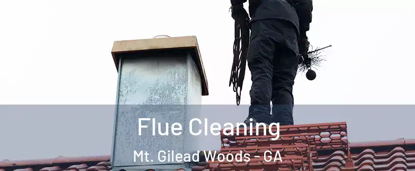 Flue Cleaning Mt. Gilead Woods - GA