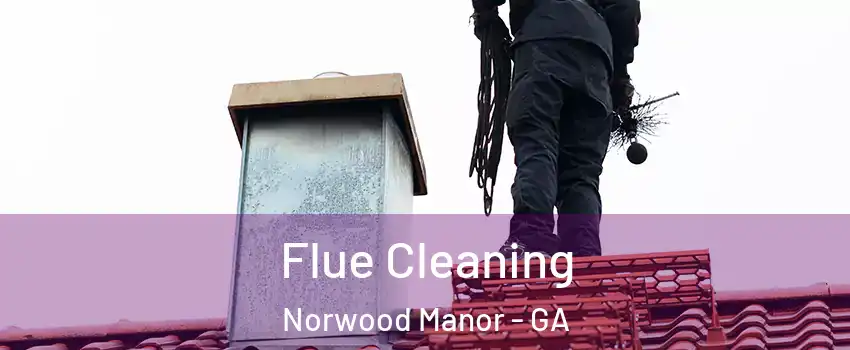 Flue Cleaning Norwood Manor - GA