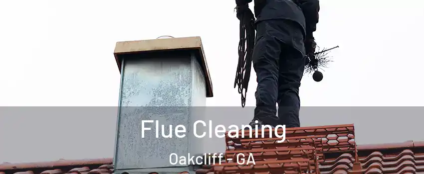 Flue Cleaning Oakcliff - GA