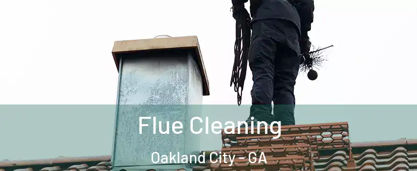 Flue Cleaning Oakland City - GA
