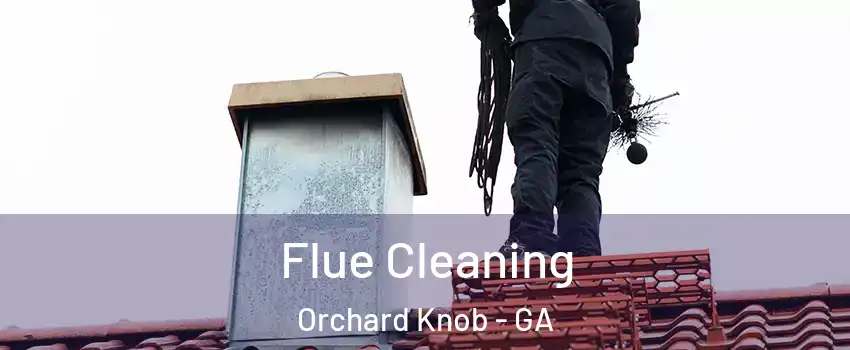Flue Cleaning Orchard Knob - GA