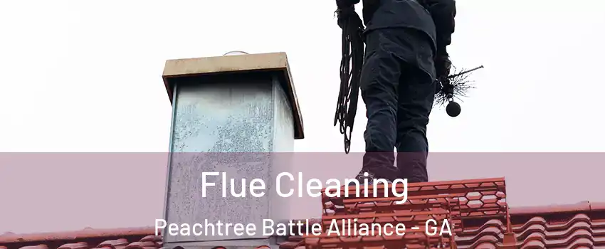 Flue Cleaning Peachtree Battle Alliance - GA