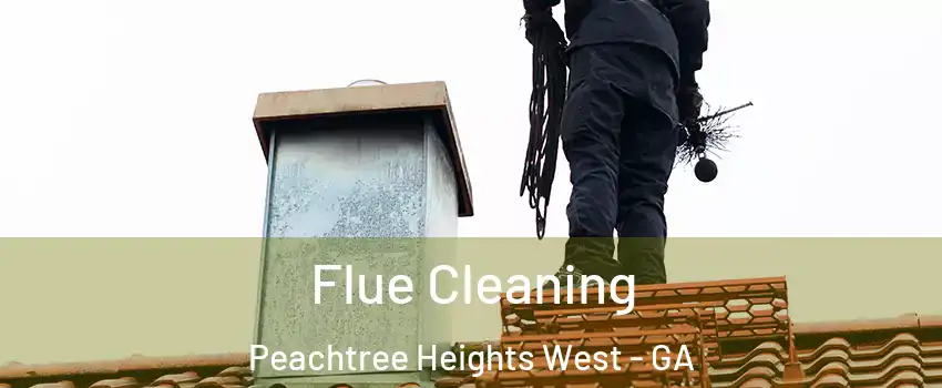 Flue Cleaning Peachtree Heights West - GA