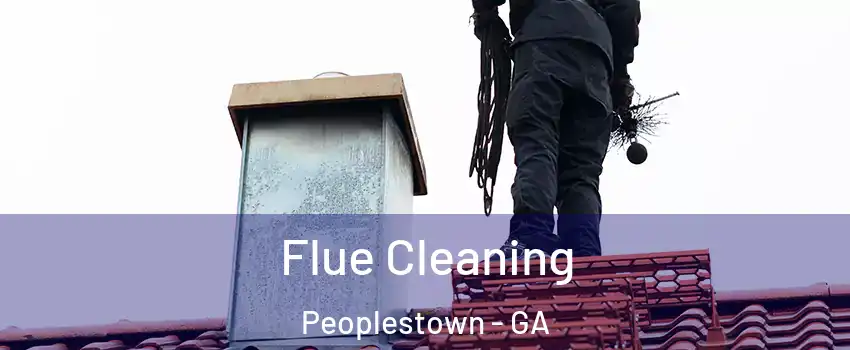 Flue Cleaning Peoplestown - GA