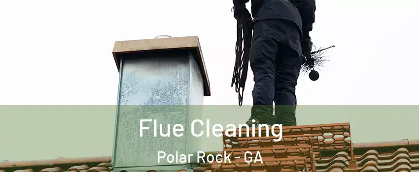Flue Cleaning Polar Rock - GA