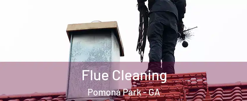 Flue Cleaning Pomona Park - GA