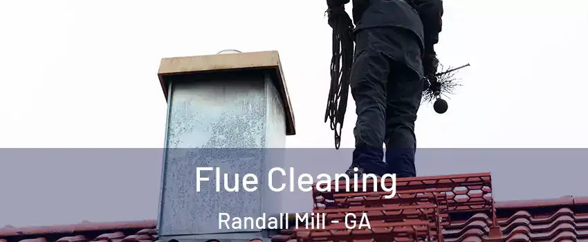 Flue Cleaning Randall Mill - GA