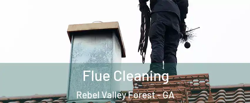 Flue Cleaning Rebel Valley Forest - GA