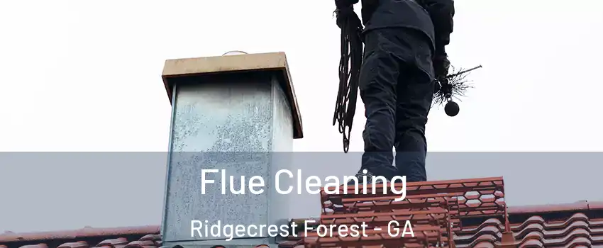 Flue Cleaning Ridgecrest Forest - GA