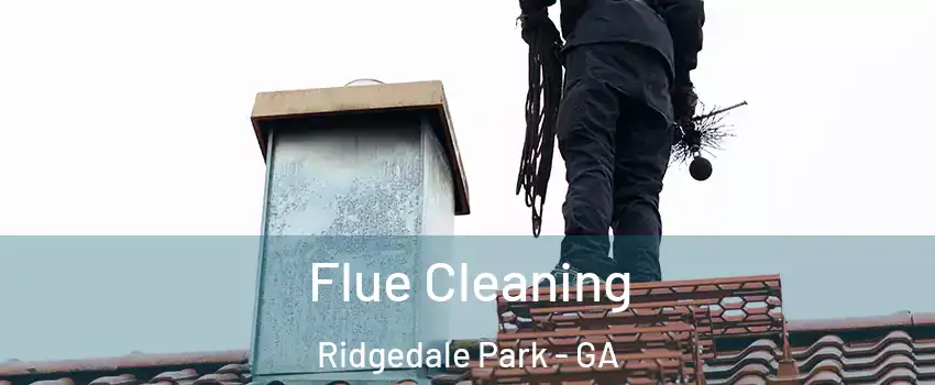 Flue Cleaning Ridgedale Park - GA