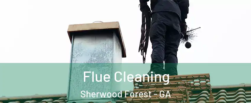 Flue Cleaning Sherwood Forest - GA