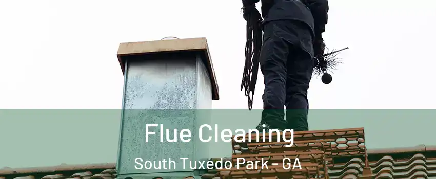 Flue Cleaning South Tuxedo Park - GA