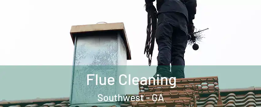 Flue Cleaning Southwest - GA