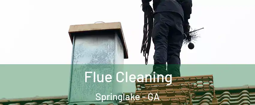 Flue Cleaning Springlake - GA