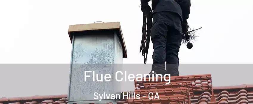 Flue Cleaning Sylvan Hills - GA