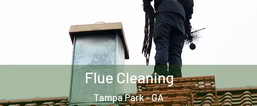 Flue Cleaning Tampa Park - GA