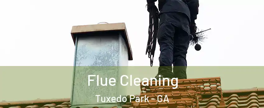 Flue Cleaning Tuxedo Park - GA
